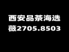 西安品茶海选实体店高端T台大选海选全城安排自带工作室